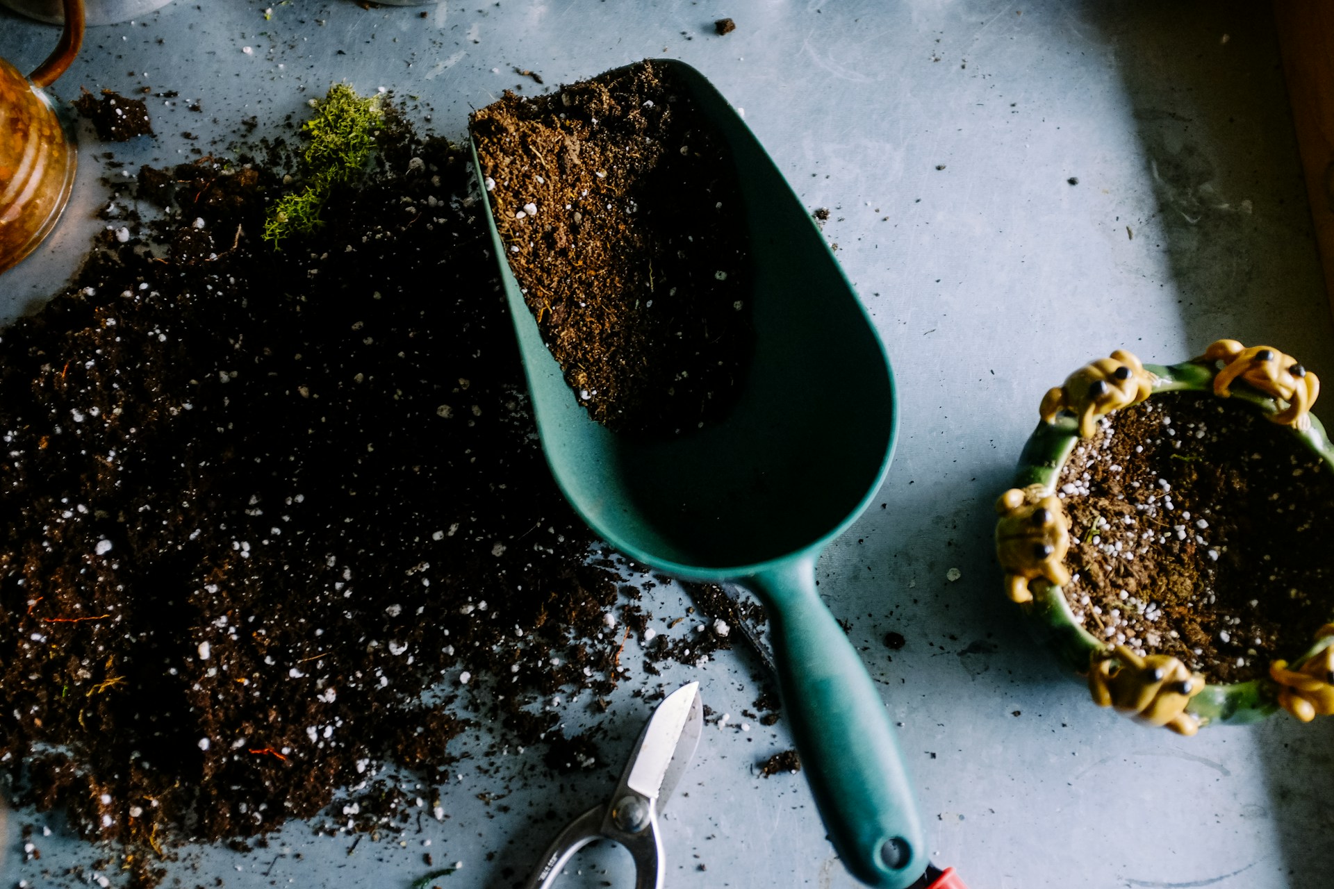 How to plant a garden gardening tips 7